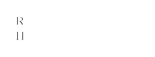 Rochkill Insurance Group